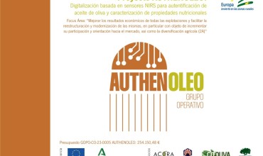 PROYECTO AUTHENOLEO