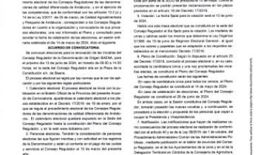 ELECCIONES 2024