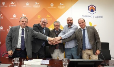 La D.O. Baena, la Fundación Bodegas Campos y la D.O.P Azafrán de La Mancha colaborarán con la Cátedra de Gastronomía Mediterránea de la UCO